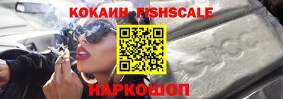 крисы Камышлов