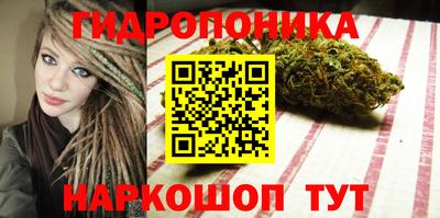 крисы Камышлов