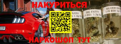 крисы Камышлов